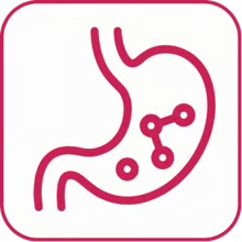 Supporto intestinale
